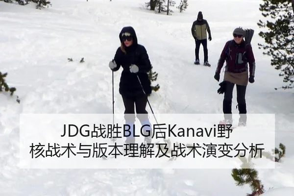 JDG战胜BLG后Kanavi野核战术与版本理解及战术演变分析